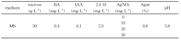 AgNO3 첨가 농도 별 약배양 배지 조