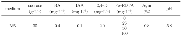 Fe-EDTA 첨가 농도 별 약배양 배지 조성표