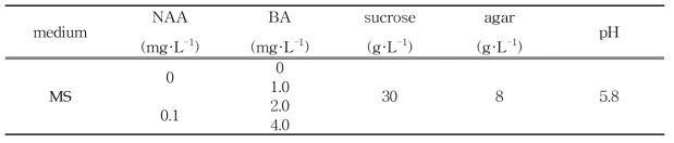 embryo 형성 배지 조성표