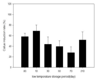 딸기 품종 ‘무하’의 저온(4℃) 저장 기간에 따른 callus 유기율