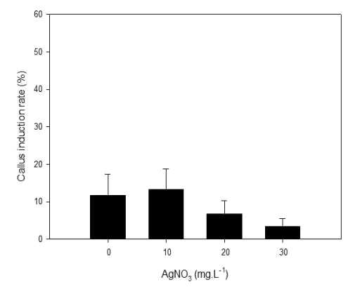 딸기 품종 ‘무하’의 AgNO3 첨가 농도에 따른 callus 유기