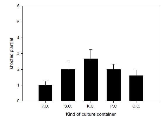 용기 종류에 따른 지상부 생육