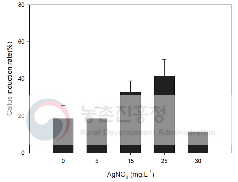 딸기 품종 ‘설향’ AgNO3 첨가 농도별 Callus 유기율