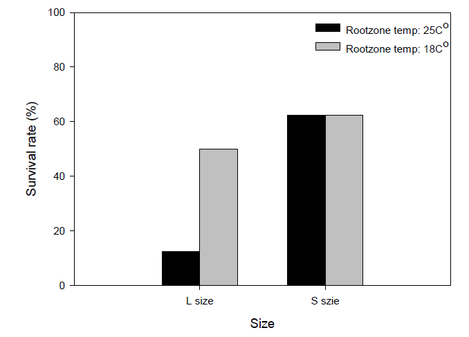 지하부 온도 변화에 따른 기내 재분화식물체의 생존율
