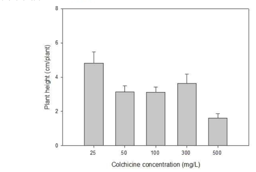colchicine 처리농도에 따라 ‘죽향’ 약 유래 Shoot 발생률
