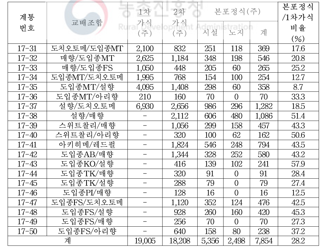 2017년도 교배 조합별 실생 1,2차 가식, 본포 정식 주수 및 비율