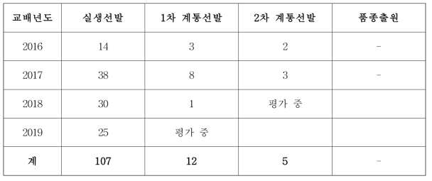 연차별 계통 선발 결과(종합)