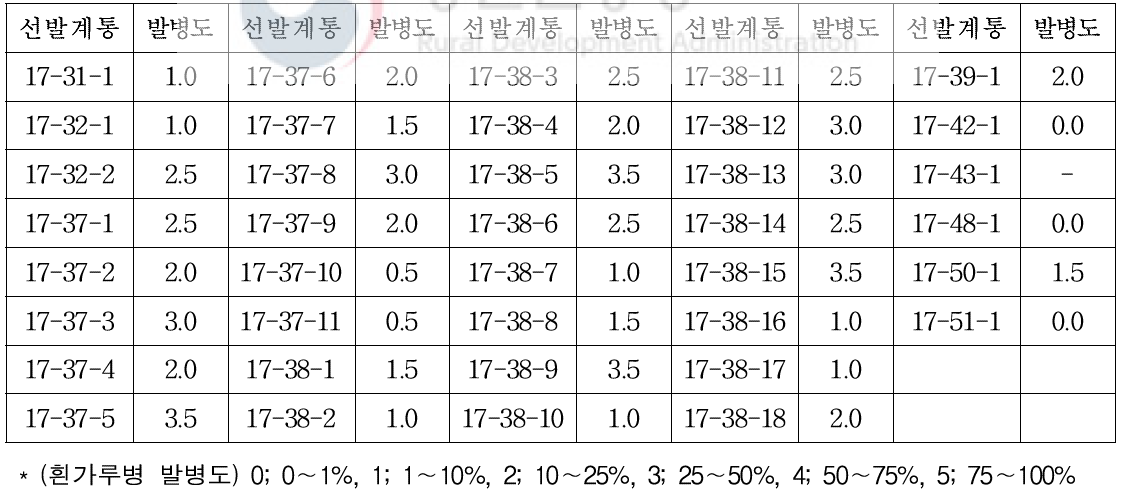 선발계통의 육묘기 흰가루병 발병도