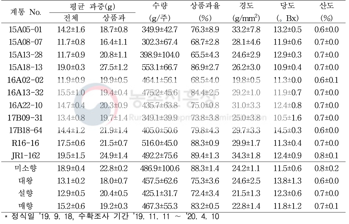 선발계통의 생산성 검정 및 주요특성(2020)