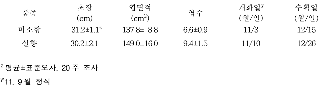 ‘미소향’ 식물체 주요특성