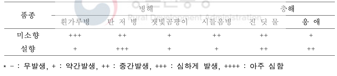 ‘미소향’ 병해충 저항성