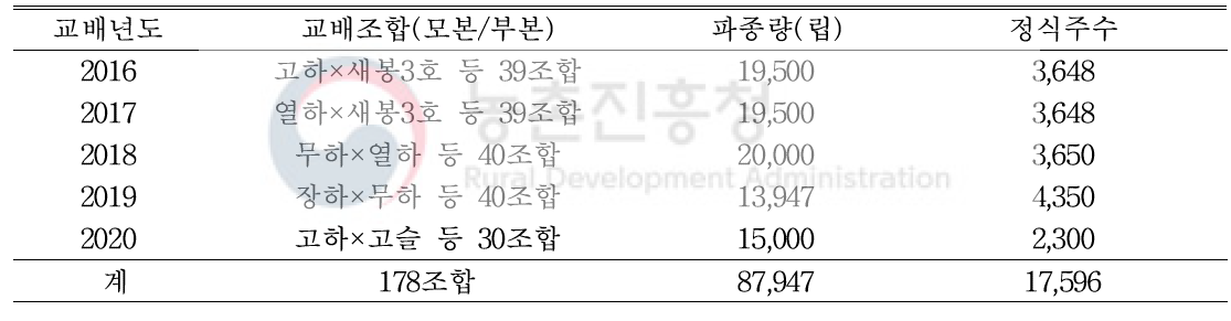 연도별 사계성 품종간 교배조합 및 실생육성 개체수(’16～’20. 식량원)