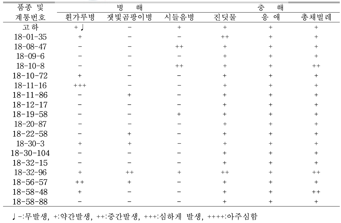 생산력검정 계통의 고랭지재배시 병해충 특성(‘20. 식량원)