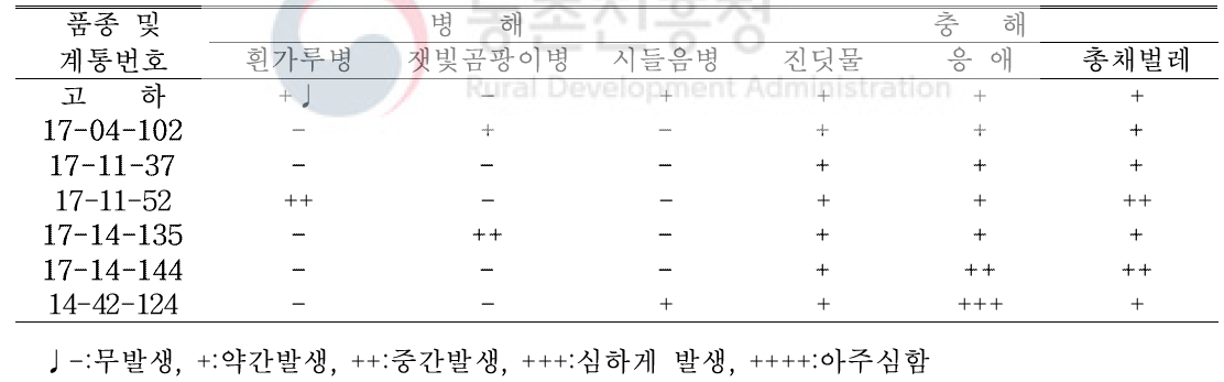 특성검정 계통의 고랭지 재배시 병해충 특성(‘20. 식량원)