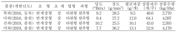 5년간 연구에서 개발된 사계성 딸기 품종 특성(‘20. 식량원)