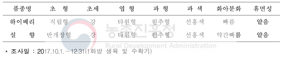 ‘하이베리’품종의 생태적 특성