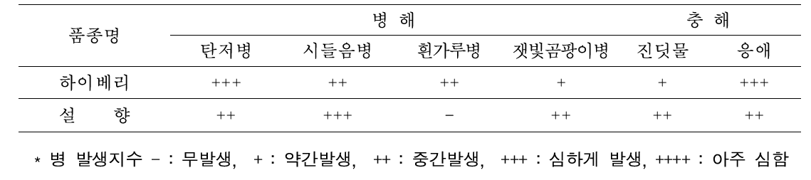 ‘하이베리’의 병해충 저항성