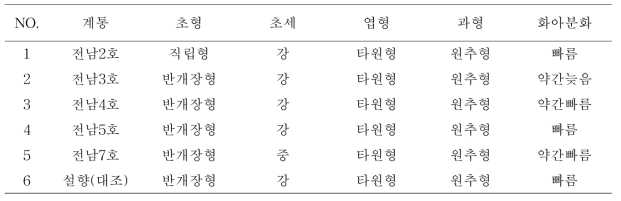 2년차 생산력 검정 계통별 고유 특성