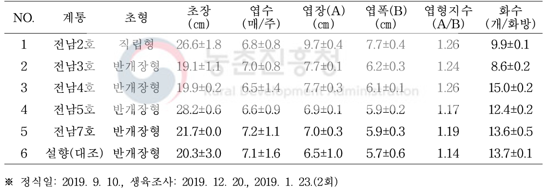 2년차 생산력 검정 계통별 생육 특성