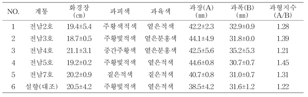 2년차 생산력 검정 계통별 과실 품질 특성