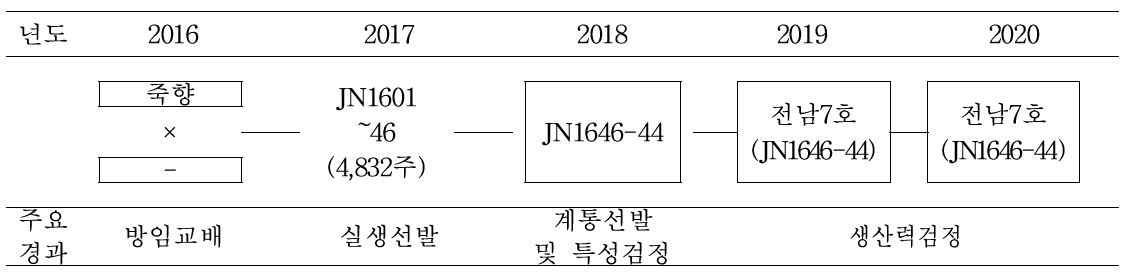 ‘전남7호’ 육성계통도