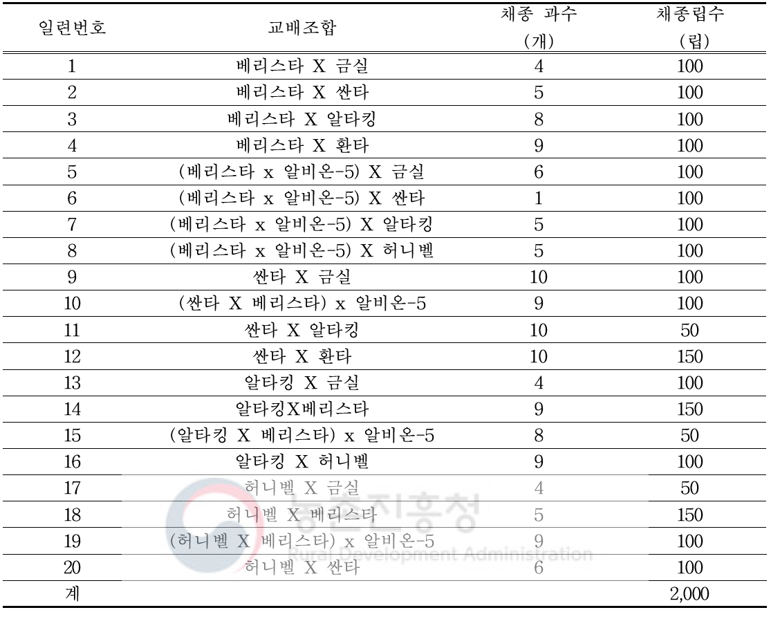 2019년 신규교배 조합 및 채종