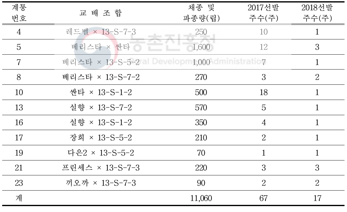 2015년 교배후대 선발현황