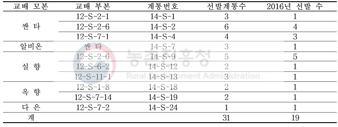 2014년 교배후대 선발현황