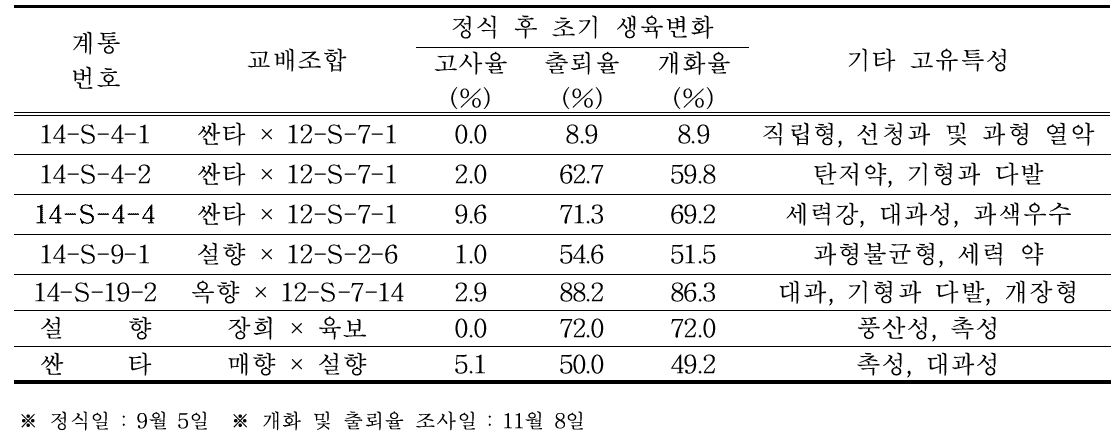 고령 시험포 정식 후 개화기 특성