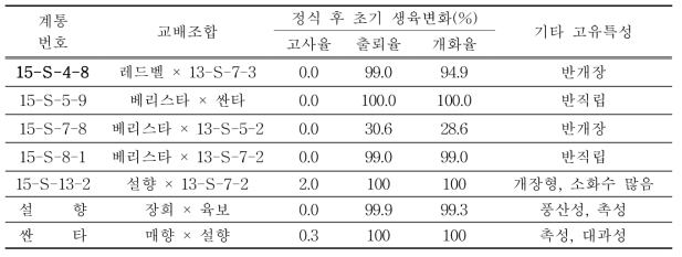 김천 시험포 정식 후 개화기 특성