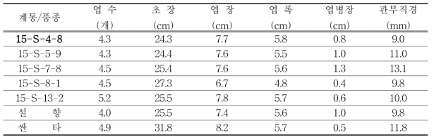 김천 시험포 정식 초기 식물체 특성