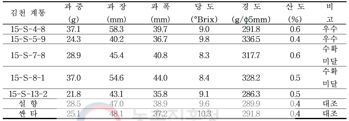 김천 시험포 수확과실 특성