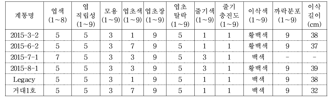 억새 종간교잡 우량계통의 생산력검정 2년차 정성적 특성(2020. 10. 7. 조사)