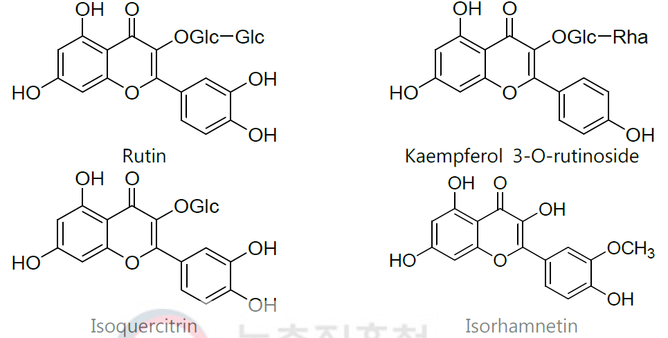 녹두 발아유도인자 처리 후 HPLC-Q-TOP로 분석한 기능성분