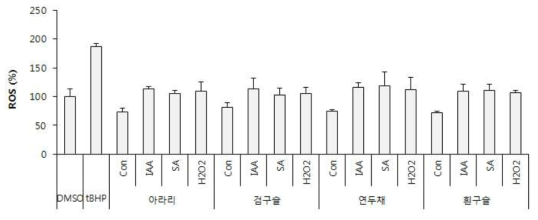 Effect of germinated red bean extracts depending on cultivars and elicitor treatment on the intracellular reactive oxygen (ROS) formation induced by tert-butyl hydroperoxide (TBHP). Con: raw red bean, DW: germinated wheat, IAA: Indol acetic acid, SA: Salicylic acid, HP: hydroperoxide