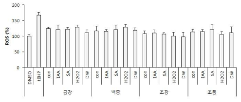 Effect of germinated wheat extracts depending on cultivars and elicitor treatment on the intracellular reactive oxygen (ROS) formation induced by tert-butyl hydroperoxide (TBHP). Con: raw brown rice, DW: germinated wheat, IAA: Indol acetic acid, SA: Salicylic acid, HP: hydroperoxide