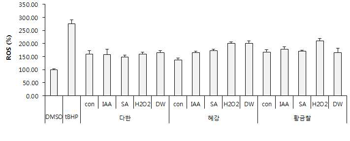 Effect of germinated barley extracts depending on cultivars and elicitor treatment on the intracellular reactive oxygen (ROS) formation induced by tert-butyl hydroperoxide (TBHP). Con: raw brown rice, DW: germinated barley, IAA: Indol acetic acid, SA: Salicylic acid, HP: hydroperoxide