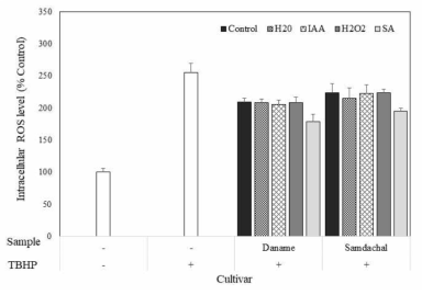 Effect of germinated millet extracts (100μg/mL) depending on cultivars and elicitor treatment on the intracellular reactive oxygen (ROS) formation induced by tert-butyl hydroperoxide (TBHP). Value are mean ± SD of 4 replicates. ###p < 0.001, significant difference compared to control. Different capital letters in the same items indicate a significant difference (p<0.05) among different cultivars and elicitor treatment