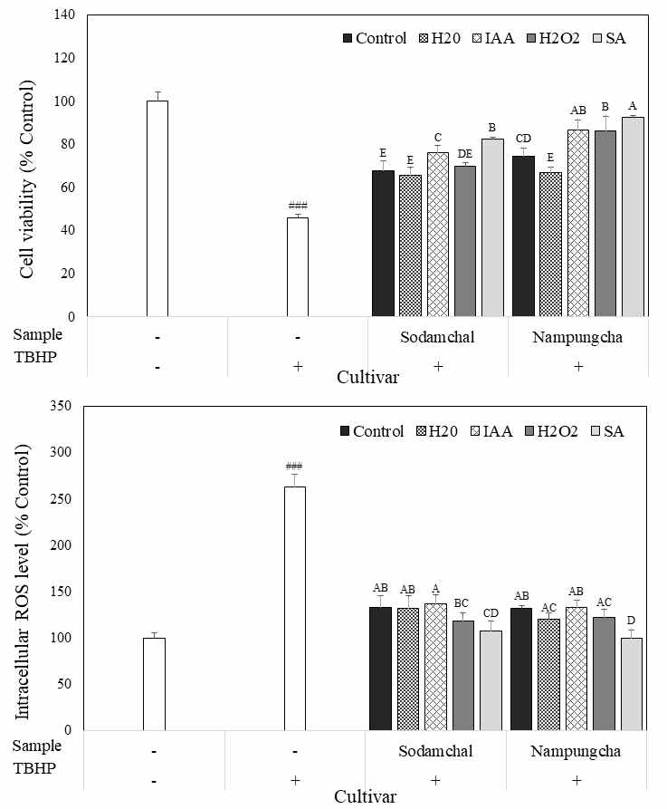 Protective Effect of germinated sorghum extracts (100 μg/mL) depending on cultivars and elicitor treatment on tert-bytyl hydroperoxide (TBHP)-induced intraceullar reactive oxygen species (ROS) formation