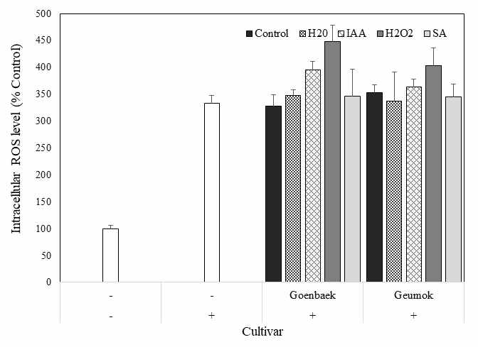 Protective Effect of germinated sesame extracts (25 μg/mL) depending on cultivars and elicitor treatment on tert-bytyl hydroperoxide (TBHP)-induced intraceullar reactive oxygen species (ROS) formation