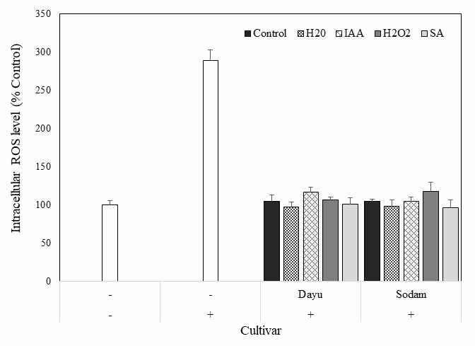 Protective Effect of germinated perilla extracts (100 μg/mL) depending on cultivars and elicitor treatment on tert-bytyl hydroperoxide (TBHP)-induced intraceullar reactive oxygen species (ROS) formation