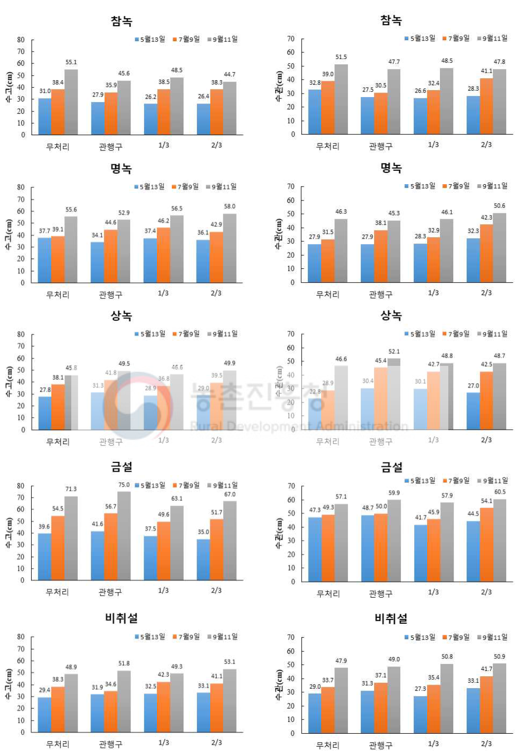 품종별 시비 처리 수준에 따른 수고(cm)의 변화(2019)