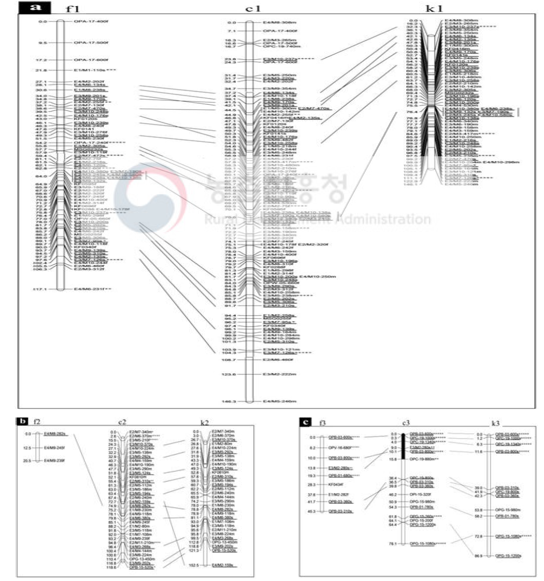 RNAseq-SSR, RAPD 및 AFLP 기반 차나무 후슌 및 금설의 통합 유전자 지도(1)