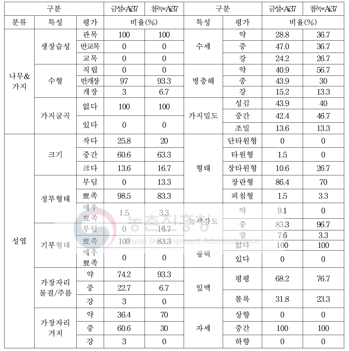 차 핵심분리집단(‘금설, 참녹×Ai37’) 특성 분리비율(2019년 조사)