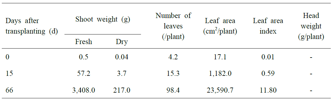 이상고온(35/31℃)에 따른 배추의 정식 후 일수에 따른 생장