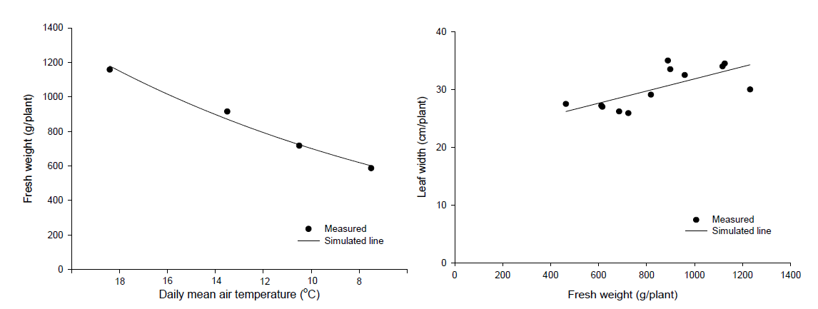 이상저온 처리 기간의 평균온도 수준에 따른 생체중 감소(좌)과 생체중과 최대엽장과의 직선회귀(우)