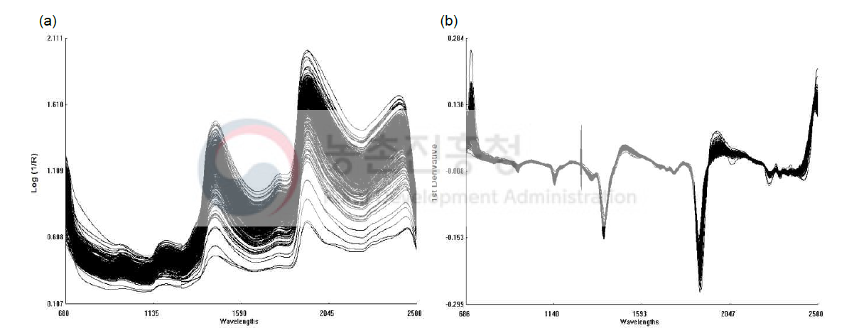 옥수수 사일리지의 NIR 원시 스펙트럼(a) 와 미분 스펙트럼
