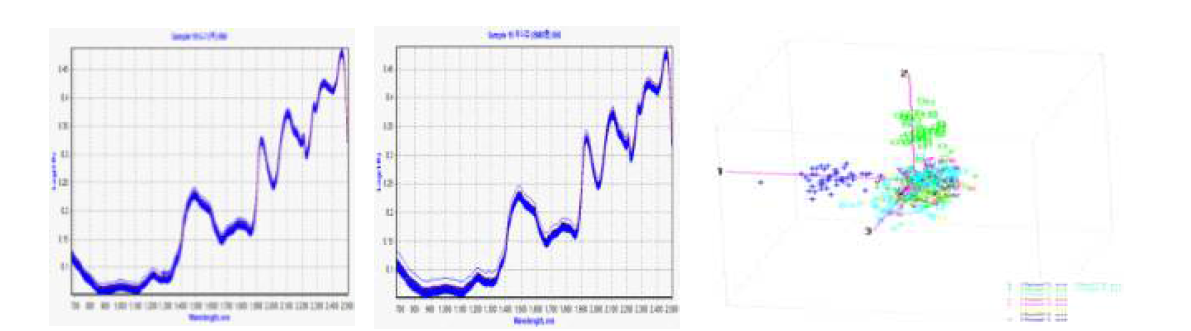 원시스펙트럼 및 수수·수단그라스 품종별 3D 분포