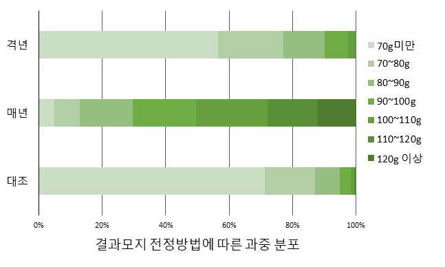 결과모지 전정 방법에 따른 과중 분포