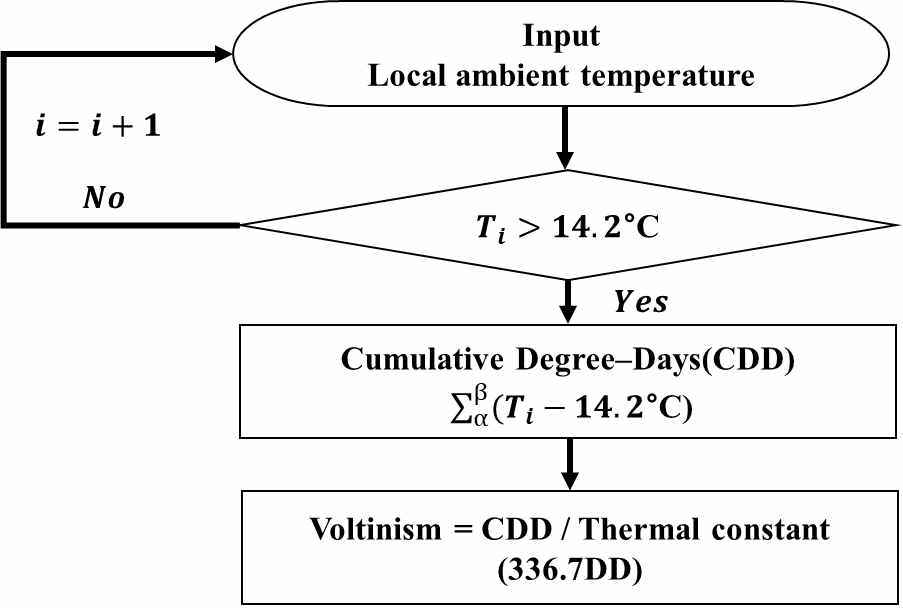 톱다리개미허리노린재의 연간세대수를 계산하기 위한 흐름도. 14.2도와 336.7DD는 제 2세부과제에 얻은 발육영점온도(lower development temperature)와 유효적산온도(thermal constant)임